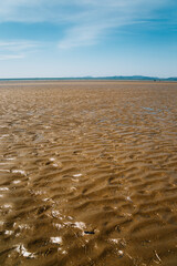 Cheongpodae beach mud flat in Taean, Korea