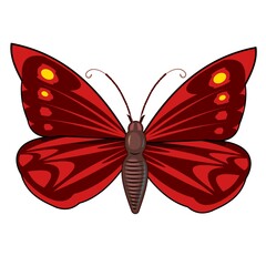 Red butterfly. Bright beautiful composition. Isolated object on white. Vector.