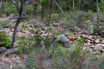 Bushwalking at the grampians