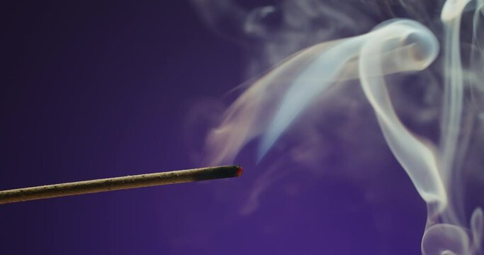 A stick of incense burns and smokes on an isolated purple background. Macro extreme close up shot