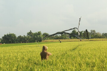 Man in The Rice Field