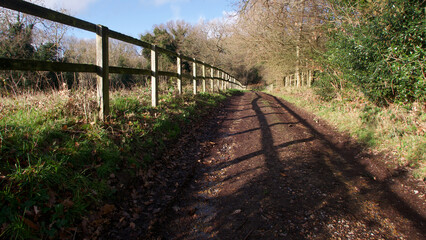 Fototapeta na wymiar View of country lane on sunny winters day with fence leading to vanishing point