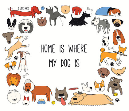 Cute funny different dog, puppy frame, quote Home is where my dog is. Hand drawn color vector illustration, isolated on white. Line art. Design concept for trendy pet poster, t-shirt, fashion print.