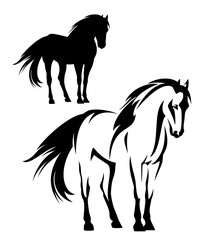 beautiful mustang horse with flying mane and tail - wild stallion black and white vector outline and silhouette