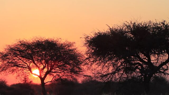 Atardecer en Africa