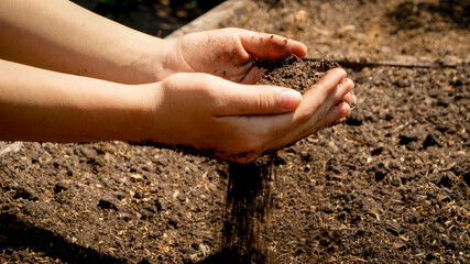 Teenage girl hands holding fertile ground on field. Concept of growth, environment protection and organic planting on farms