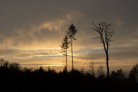Traumhafter Sonnenuntergang im Taunusgebirge