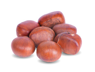 Sweet chestnut on white background