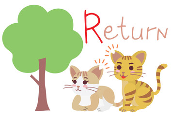 地域猫TNRのためのReturn