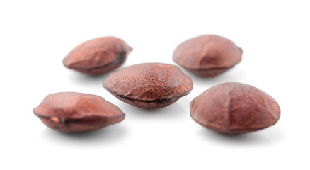 star bean isolated on white background.