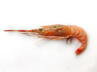 Fresh Rose Shrimp or Pink Shrimp Isolated on a white background.Selective focus.