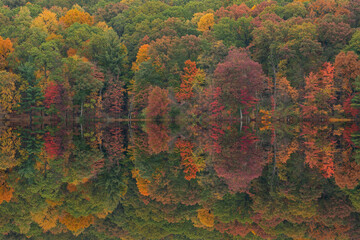 Autumn landscape of the shoreline of Hall Lake with mirrored reflections in calm water, Yankee Springs State Park, Michigan, USA