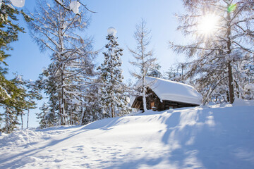 晴れた日の雪に覆われたロッジ