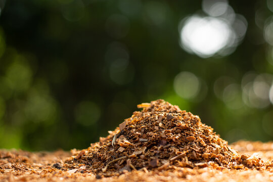 Lots of sawdust or wood chips are piled up and there is a morning sun.