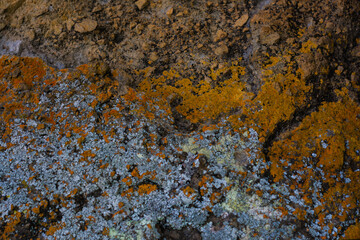 close up texture of colorful stone