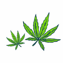 Hemp marijuana leaves symbol engraving sketch style