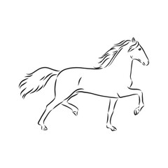 Vector silhouette of a running horse. beautiful horse vector sketch illustration
