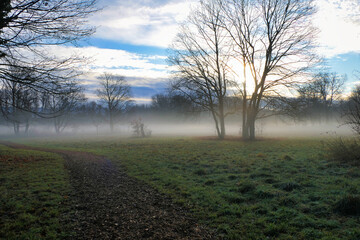 Fototapeta na wymiar Landschaft im Morgendunst mit Nebelschwaden über dem Boden, kurz vor Sonnenaufgang