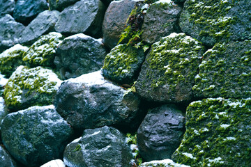 A snow day in Kanazawa, 2021.