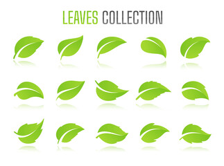 Simple flat green leaf design vector The concept of forest preservation by using natural products