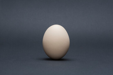 Organic simple egg on grey background. Shallow depth of field. SDF.