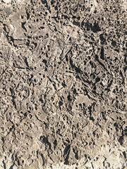 Rock surface The texture of the rock surface