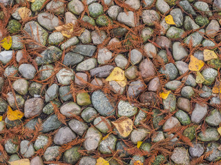 Background. Texture.