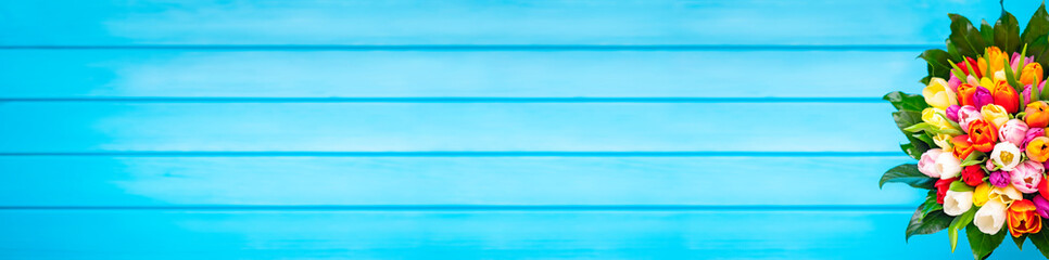 Colorful bouquet of tulips on blue wooden background. Spring tulip flowers. Greeting card with copy space for Valentine's Day, Woman's Day and Mother's Day. Top view. Wide format banner.