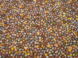 Background. Texture.