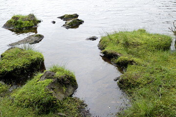 湖岸の岩場