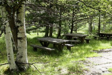 森の中のベンチとテーブル