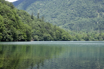 森と湖の風景