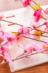 3月のスケジュール帳と梅の花