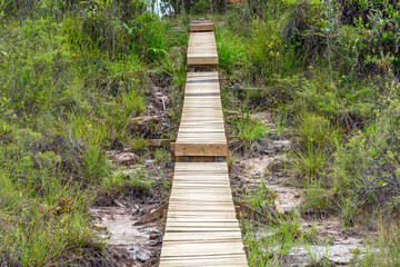 The Tajor trail inside the Baku National Park is a two and half hour walk, crosses different vegetation zones and leads to the bay and beach of Teluk Tajor in the northern part of the peninsula