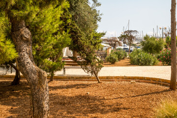 traveling the beautiful streets of Malta with old historical and new modern buildings