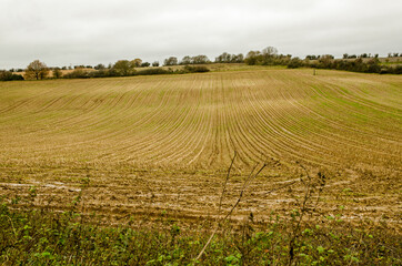 View along the furrows of a ploughed field in the Autumn near Basingstoke