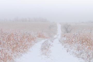 Snowy path through grasslands of Illinois prairie on a foggy winter morning