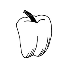 Hand-drawn simple vector drawing in black outline. Bell peppers, organic vegetable, farm harvest. Healthy product, vegetarianism.