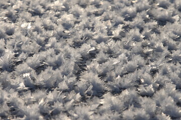 
fluffy pieces of ice on ice