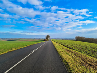 Panoramic  landscape with the road D468 between Lauterbourg and Neewiller in Alsace region in sunny day, Alsace France
