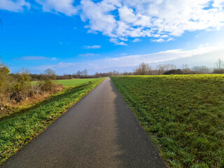 Fototapeta na wymiar Walking and cycling path through Alsace in north-eastern France. Asphalt road through agricultural fields to the horizon.