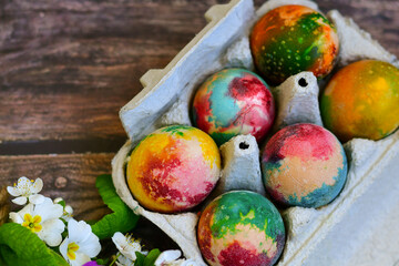 Colorful hand painted purple and rose  easter eggs and  spring blossom on wooden background