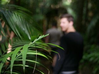 Obraz premium person in the forest