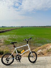 Obraz premium bicycle on the beach