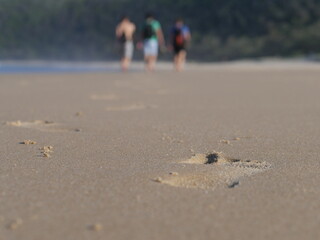 people walking on the beach