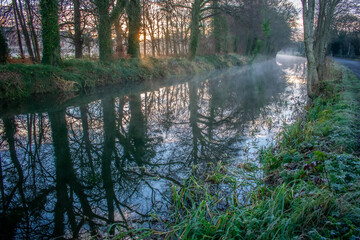 Foggy Sunrise at old Canal Ireland