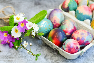 Colorful hand painted purple and rose  easter eggs and  spring blossom on wooden background