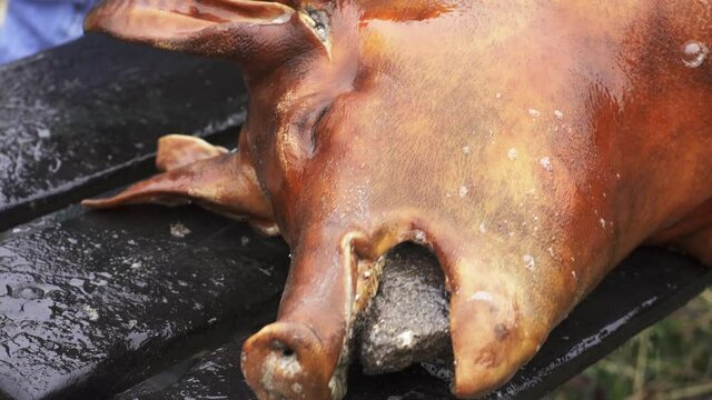 Hog face snout on a table being cleaned for dismembering and butchering - Close up