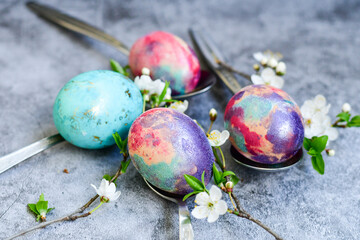 Colorful hand painted purple and rose  easter eggs and  spring blossom on wooden background