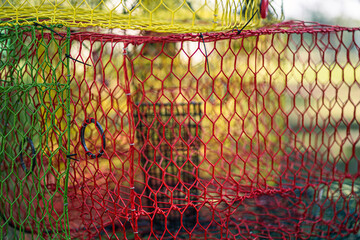 Crab Pot